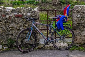 fotelik rowerowy